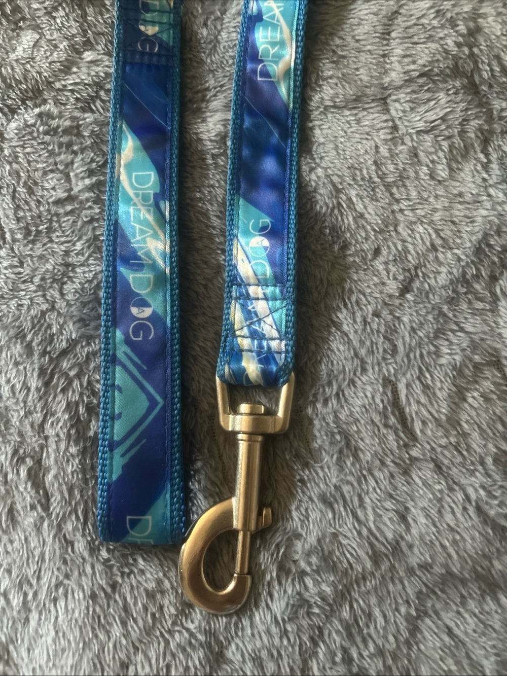Blue “Dream Dog” Leash for Dog -  5 Ft with Metal Hook